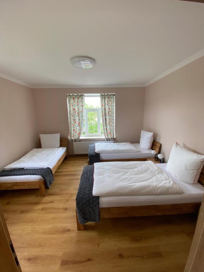 Schöne 2 Zimmerwohnung, neu saniert, hell, stilvoll Borna Exterior foto